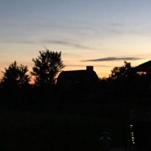 Meet your Posher, Bonnie